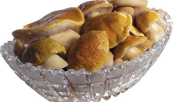 deliciosos hongos porcini en invierno