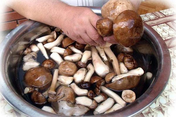 bien laver les champignons