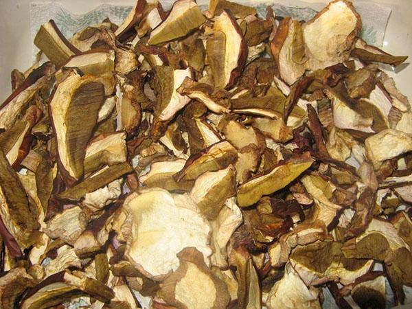 hongos porcini secos
