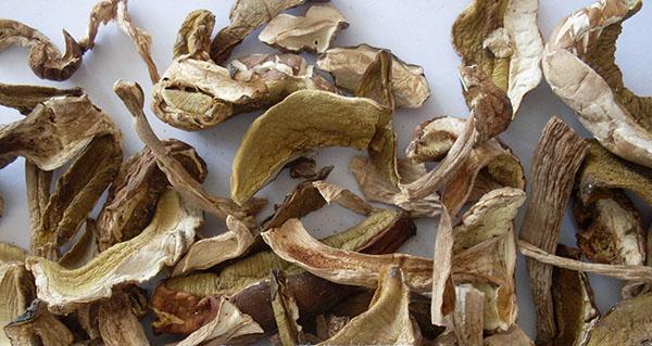 hongos secos