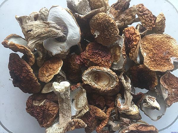 hongos porcini secos enteros