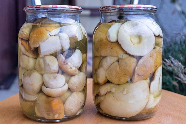 hongos porcini en escabeche