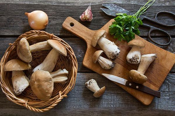 preparación de hongos porcini
