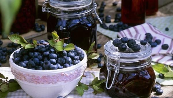 récolter les bleuets pour l'hiver