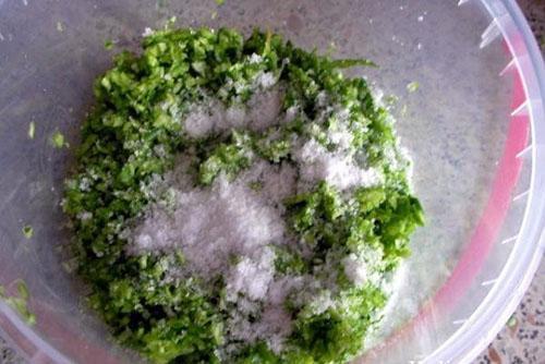 cosechando flechas de ajo