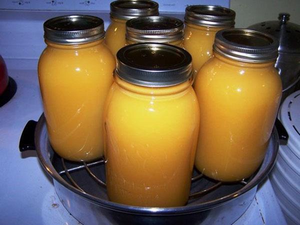 jugo de manzana y calabaza