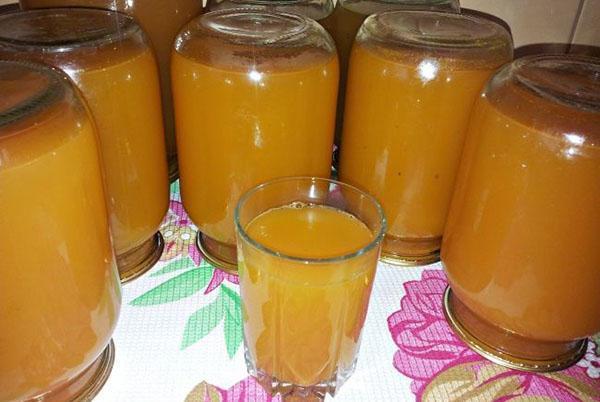 jugo de manzana y zanahoria