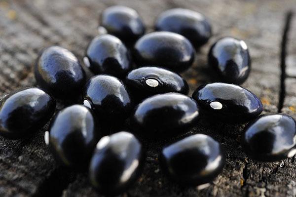 haricots noirs