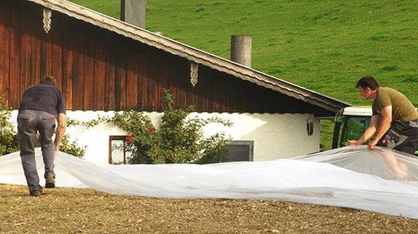 pose du film sur le tas d'ensilage