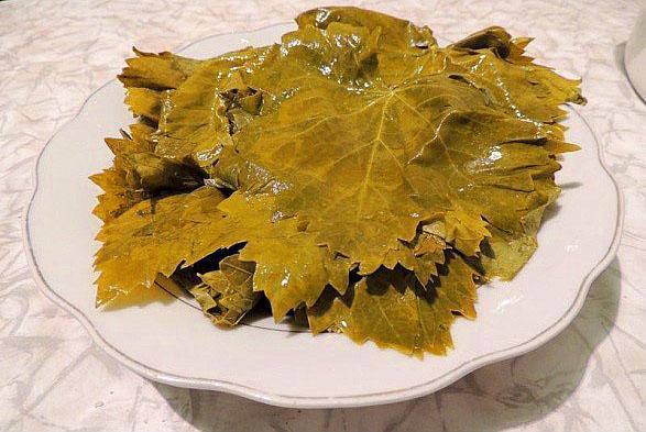 hojas de parra congeladas