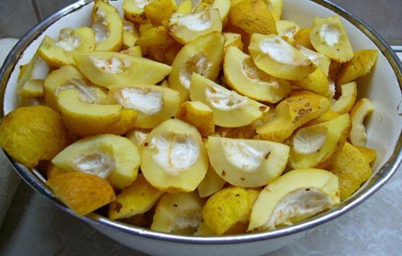 membrillo para espacios en blanco