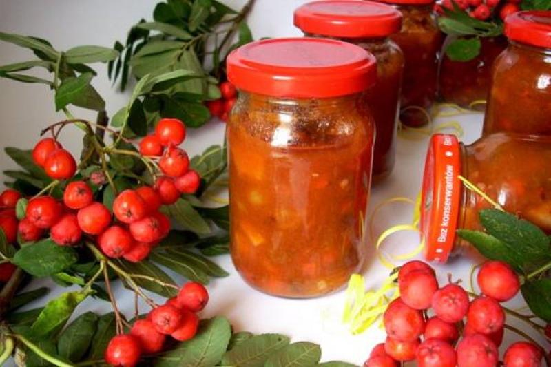 confiture de sorbier rouge avantages et inconvénients contre-indications