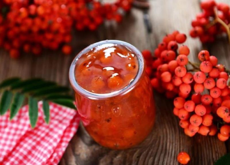 avantages et inconvénients de la confiture de sorbier rouge