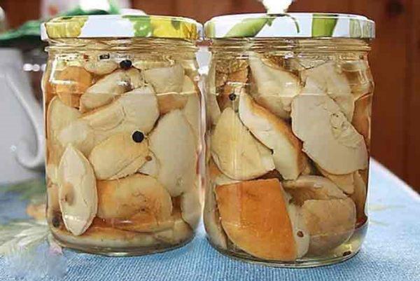 tapas de hongos porcini en escabeche