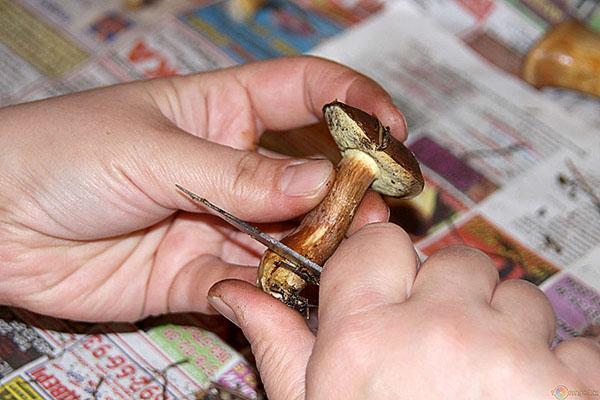 nous nettoyons les champignons