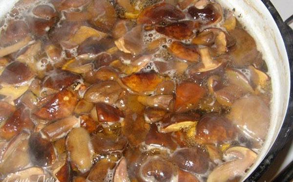 faire cuire les champignons dans de l'eau salée