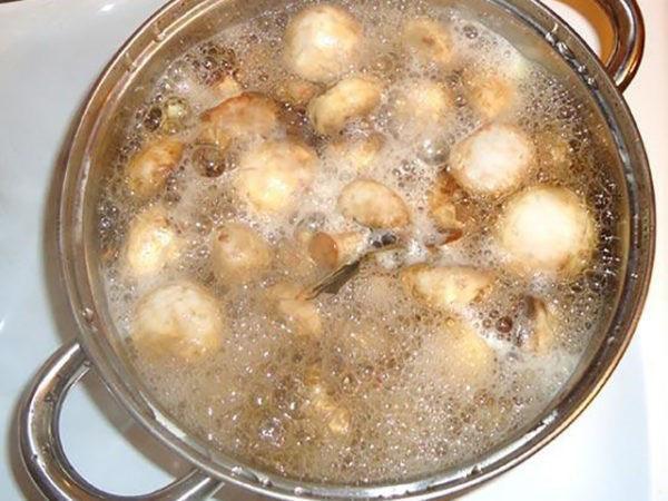 faire bouillir les champignons dans la marinade