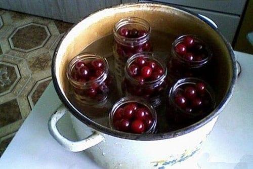 poner frascos de cerezas en esterilización