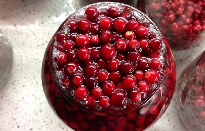 recetas de arándanos rojos para el invierno