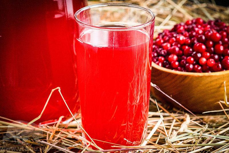 jugo de arándano rojo