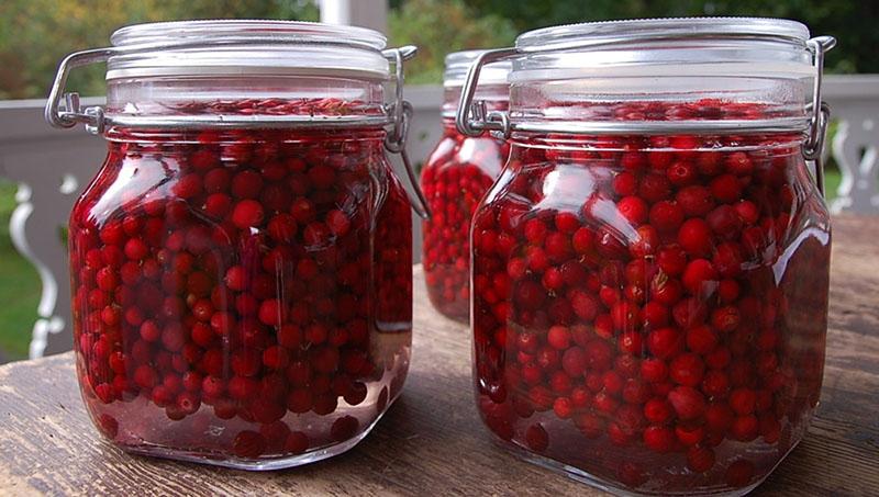 recetas de arándanos rojos para el invierno sin azúcar