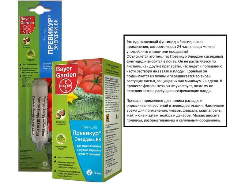 champ d'application de Previkur Energy