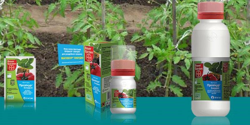 protection des plantes contre les maladies