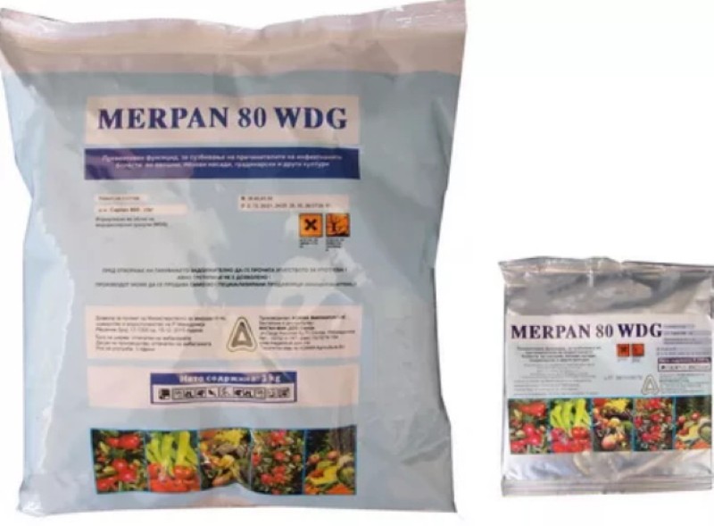 comment appliquer merpan