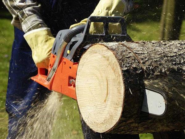 Avec un affûtage correct de la chaîne, la coupe à la scie va plus vite