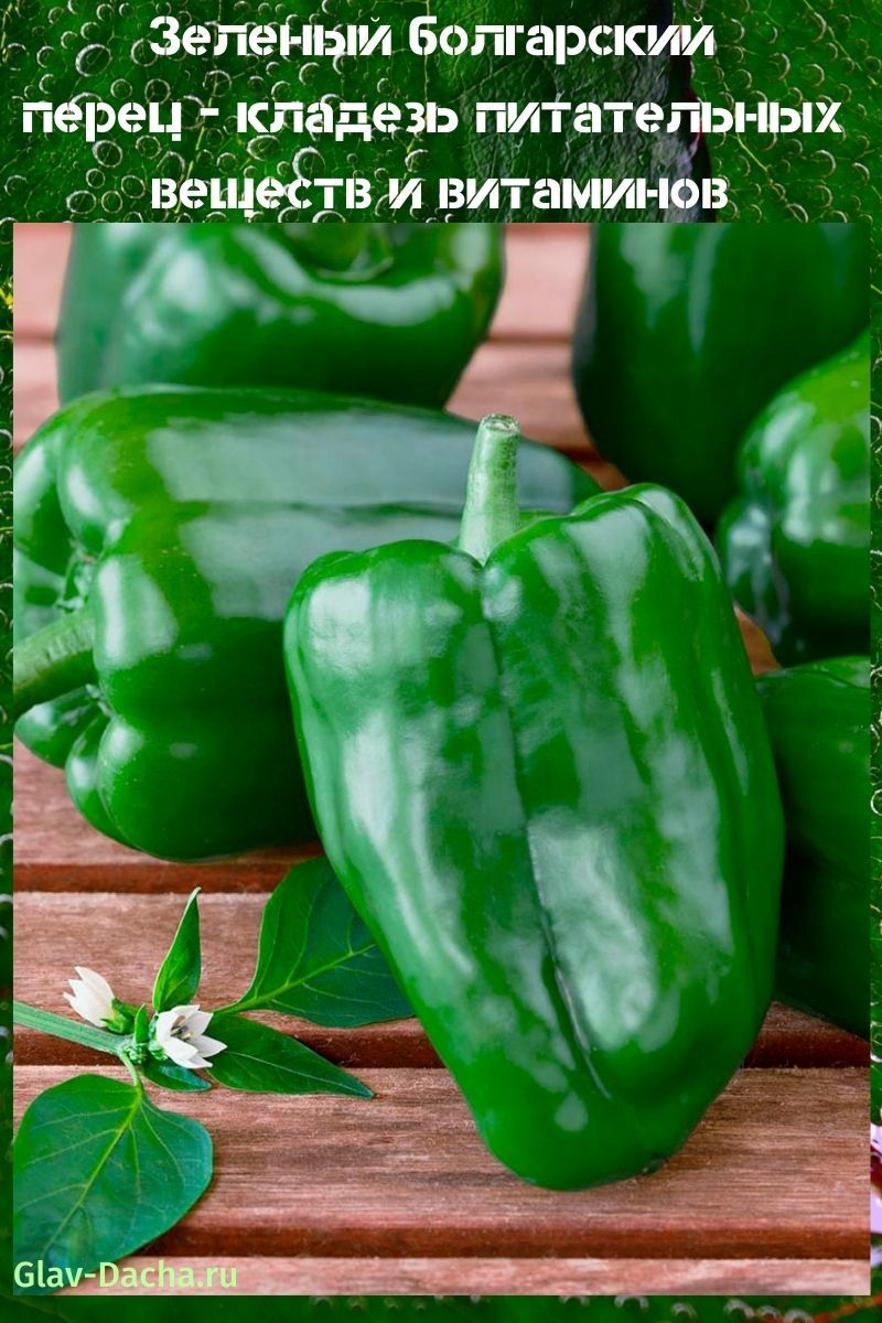 pimiento verde