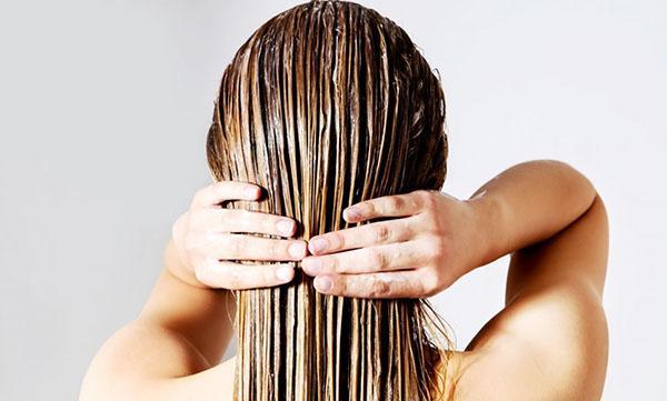 oignons verts et cheveux sains