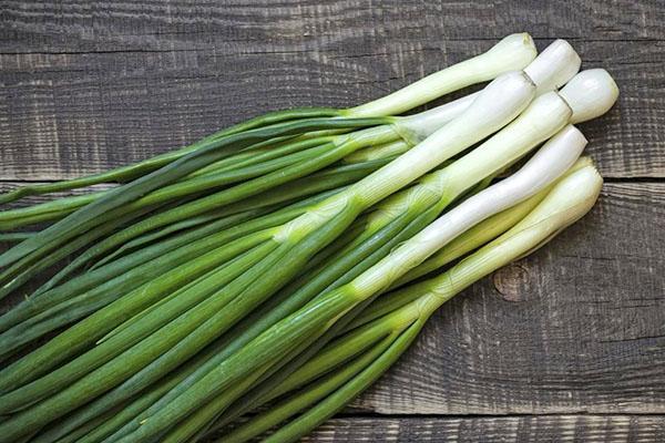 oignons verts juteux