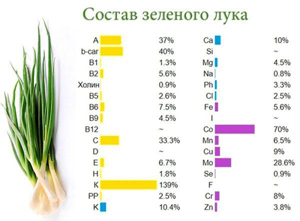 composition d'oignon vert