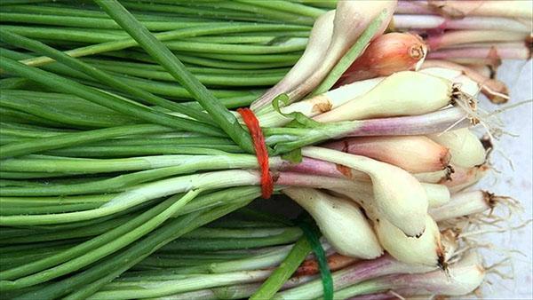 les oignons verts ne sont pas bons pour tout le monde