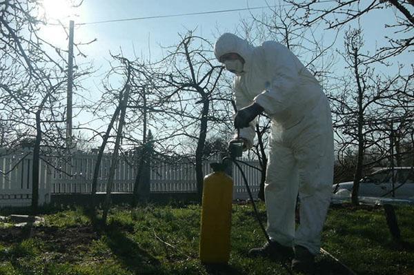 lutte contre les parasites du jardin