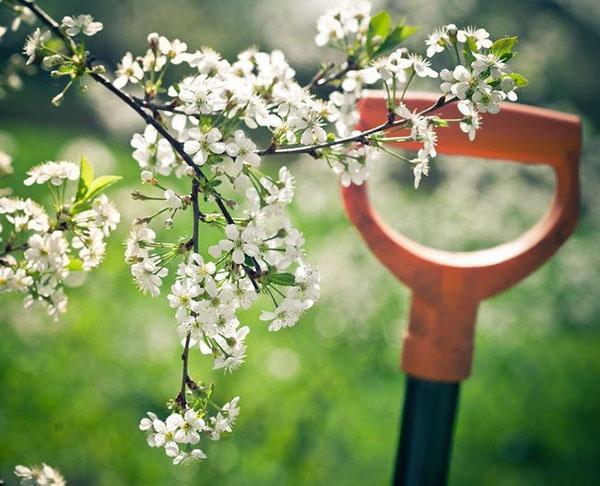 Puede trabajar en el jardín