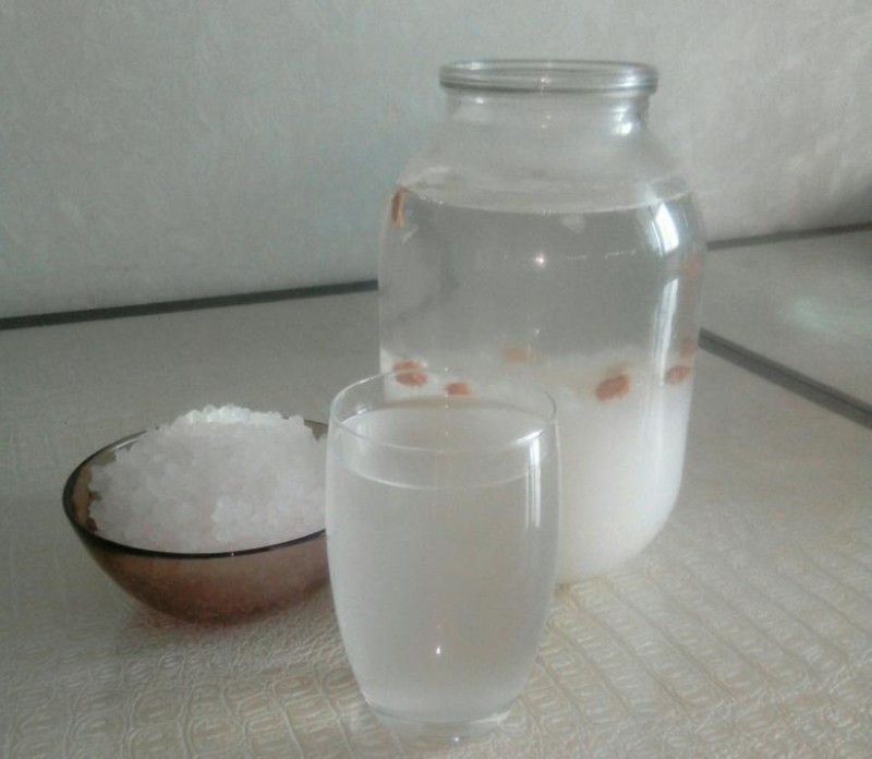 infusión de arroz de mar