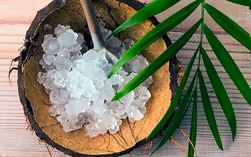 Opiniones de propiedades medicinales de hongos de arroz de mar