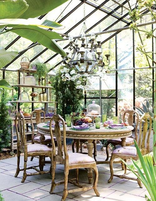 jardin d'hiver dans la salle à manger