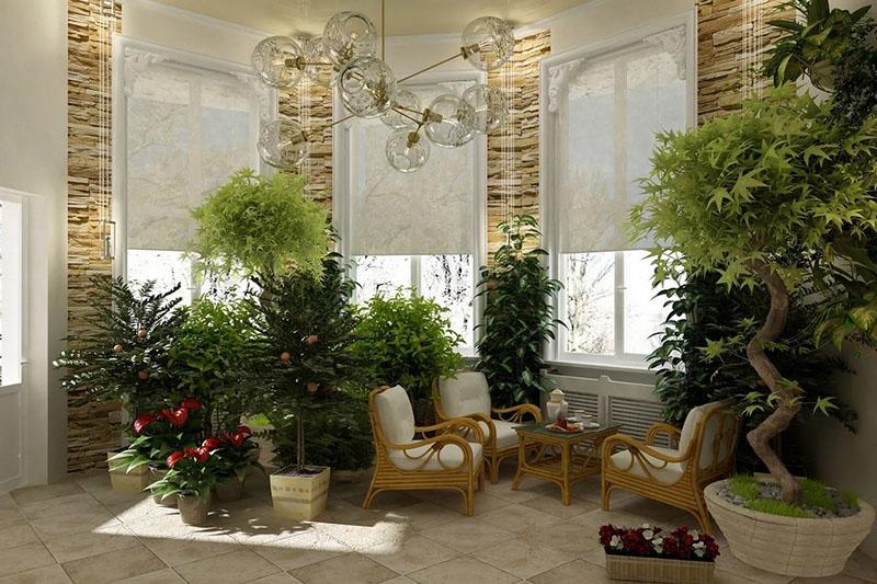 sélection de plantes pour le jardin d'hiver