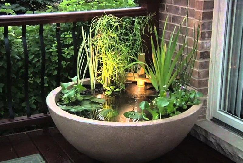 jardin d'hiver dans l'appartement avec leurs propres mains mini-étang