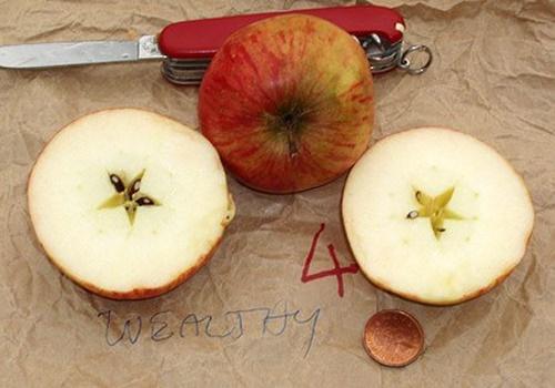 cortar manzana
