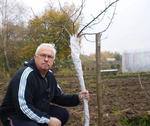 protección para el invierno