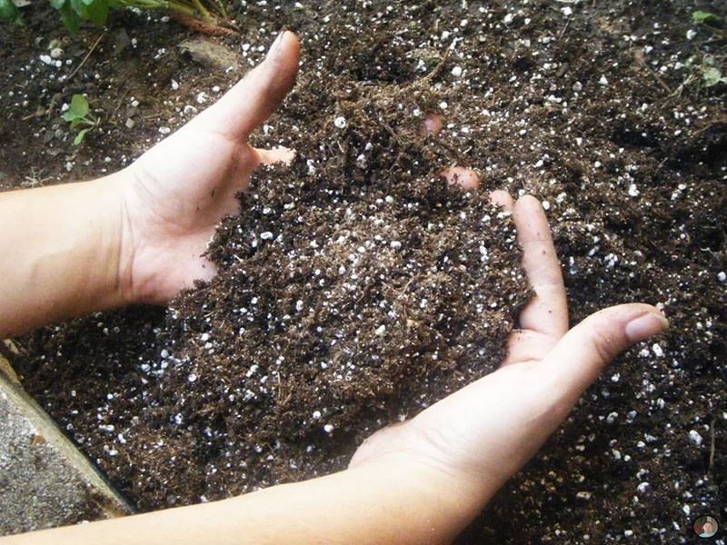 fertiliser le sol