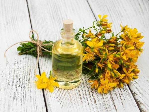 propriétés médicinales du millepertuis