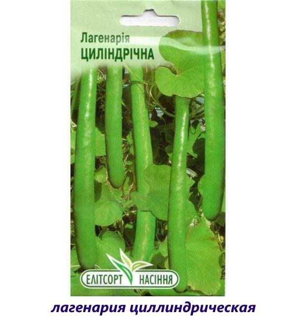 lagenaria cilíndrica