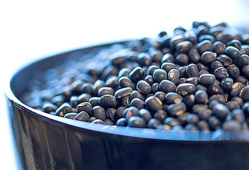 Cosecha variedad urd