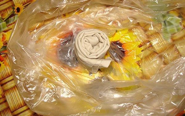 placer le rouleau dans un sac et humidifier