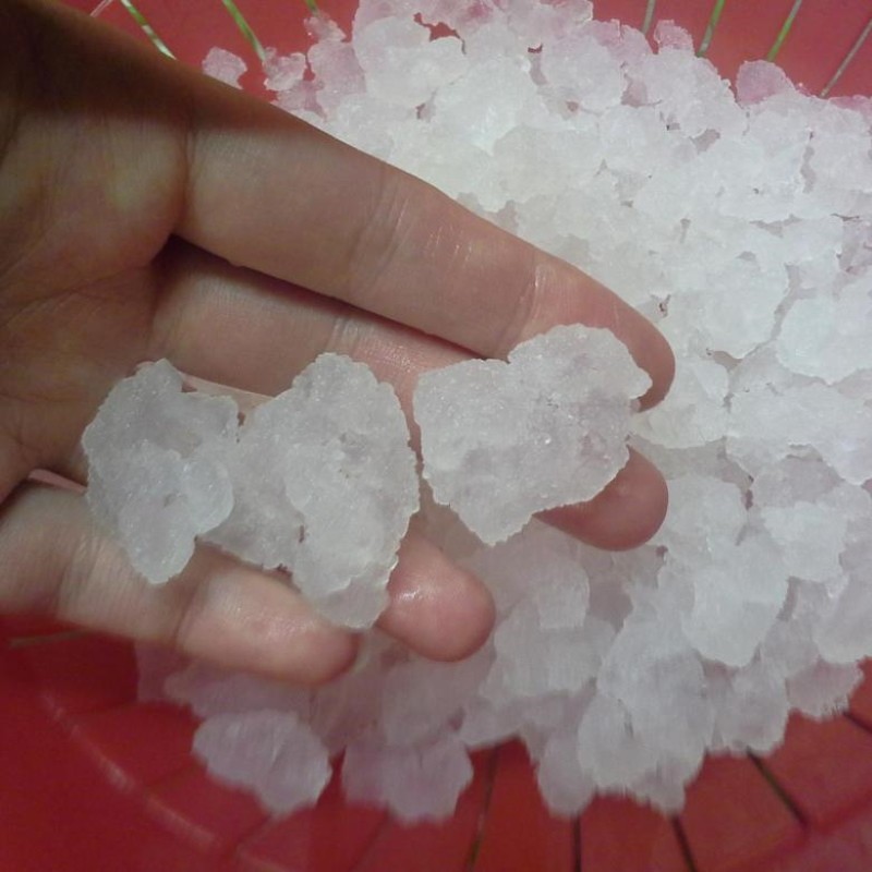 tibikos de riz de mer